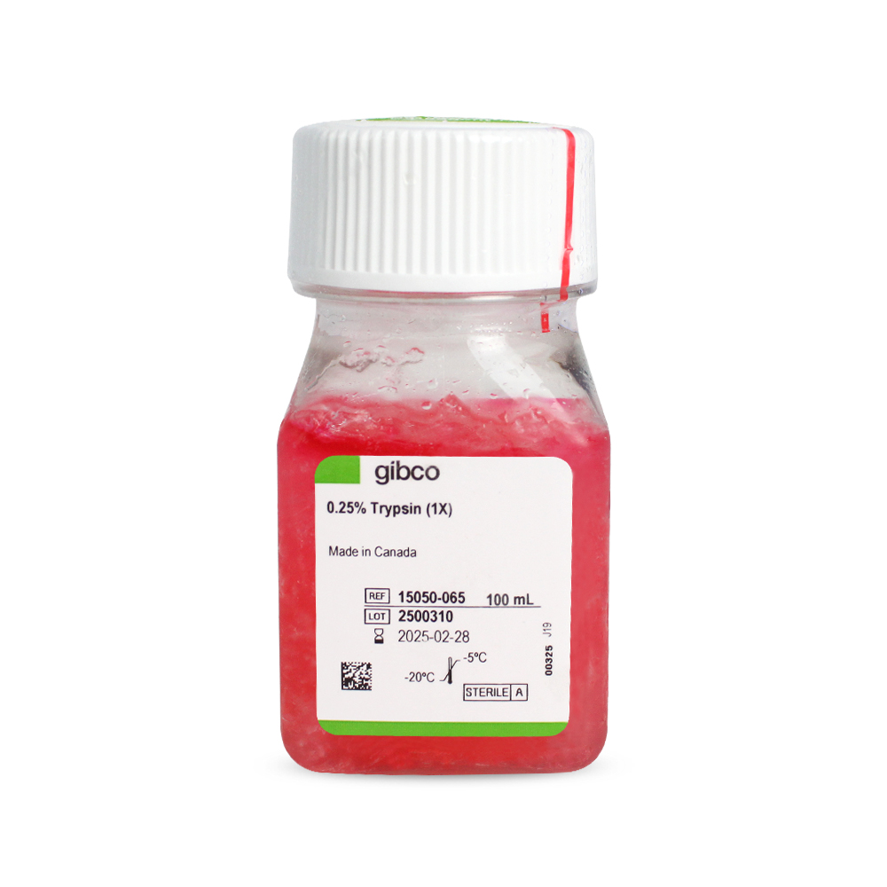 胰酶細胞消化液（0.25%胰酶，不含EDTA，含酚紅）